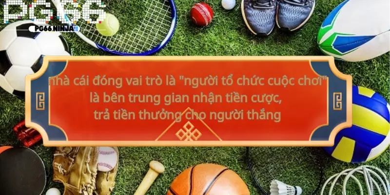 zeo.us.com__Nhà cái cá cược là gì